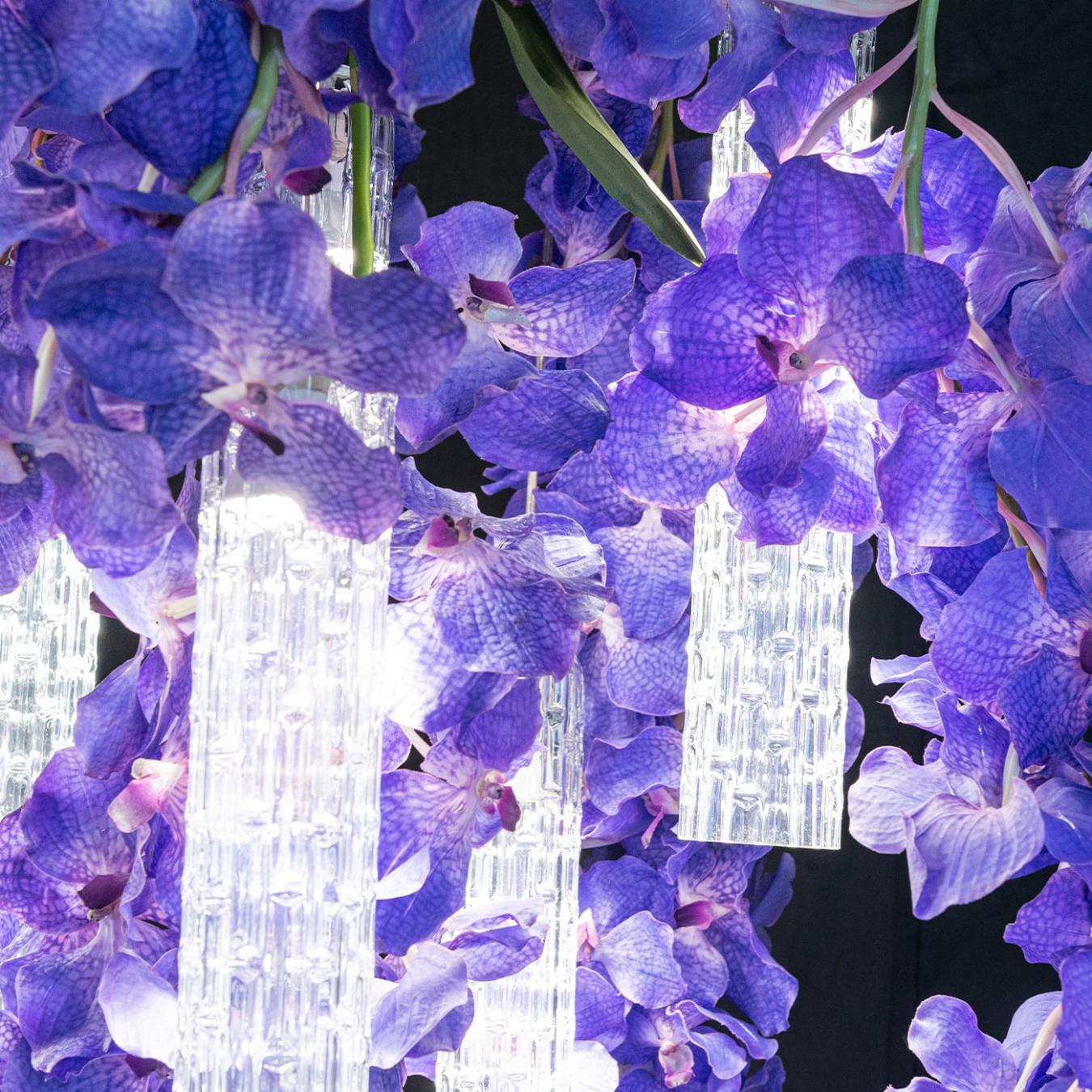 Grand lustre Vanda