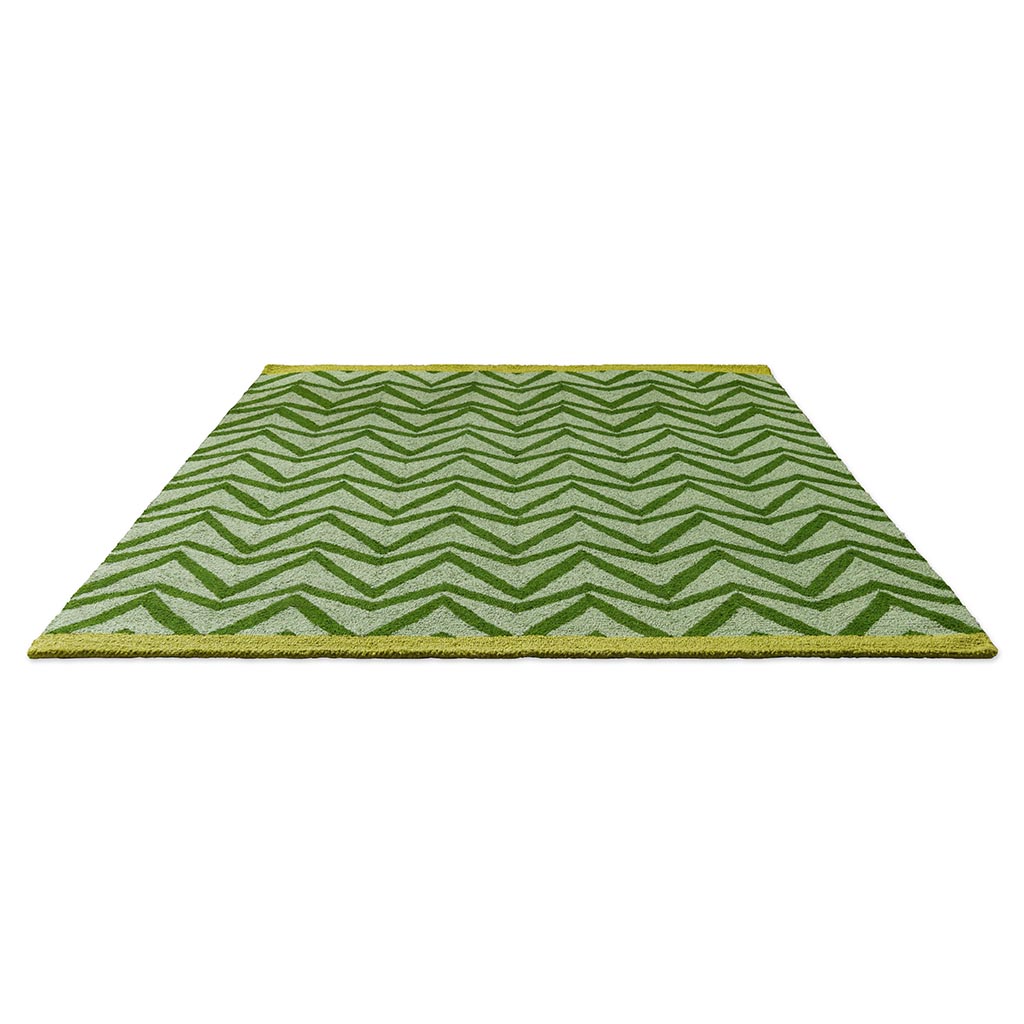 Tapis Dhurrie Vert Extérieur