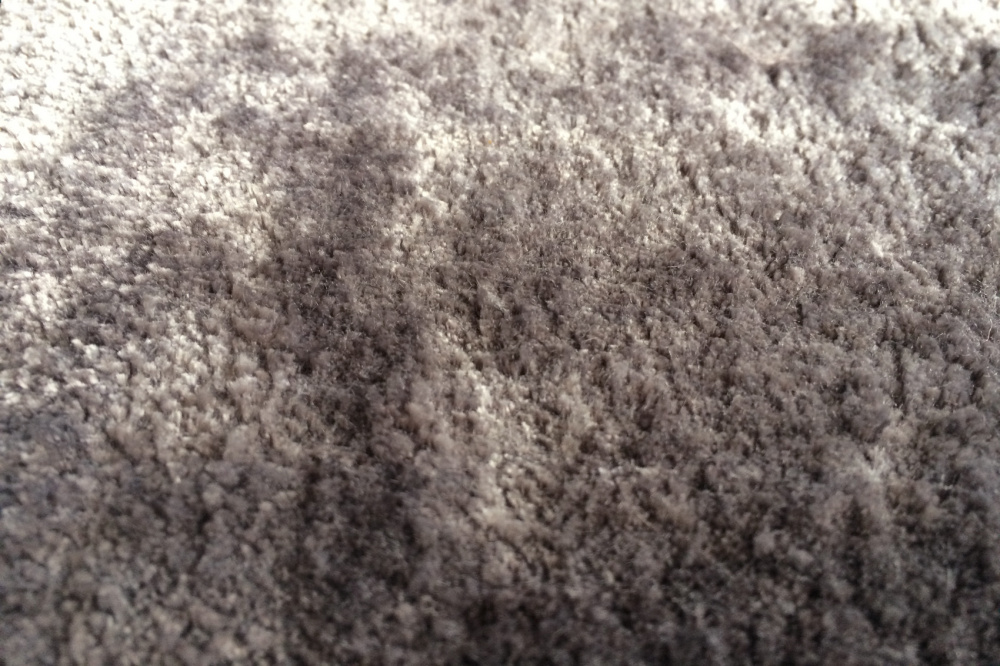 Tapis Hampton | Couleur: Beige | Taille: 170 x 240 cm