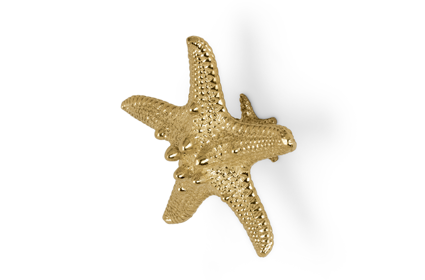 Poignée Starfish Linckia