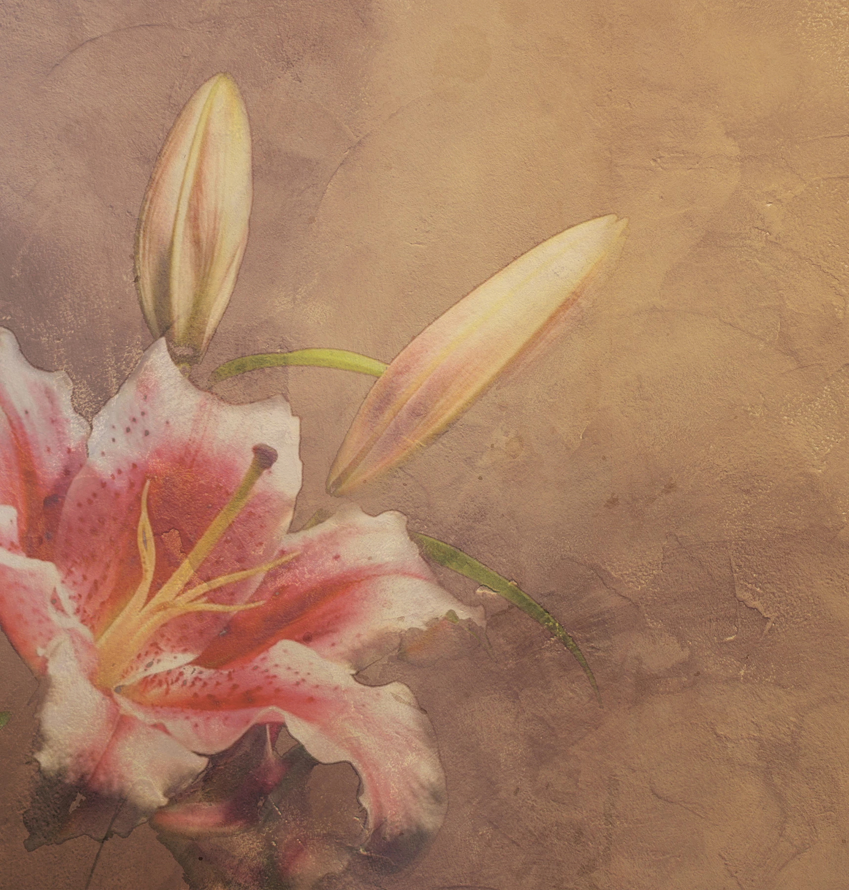 Papier peint Amaryllis