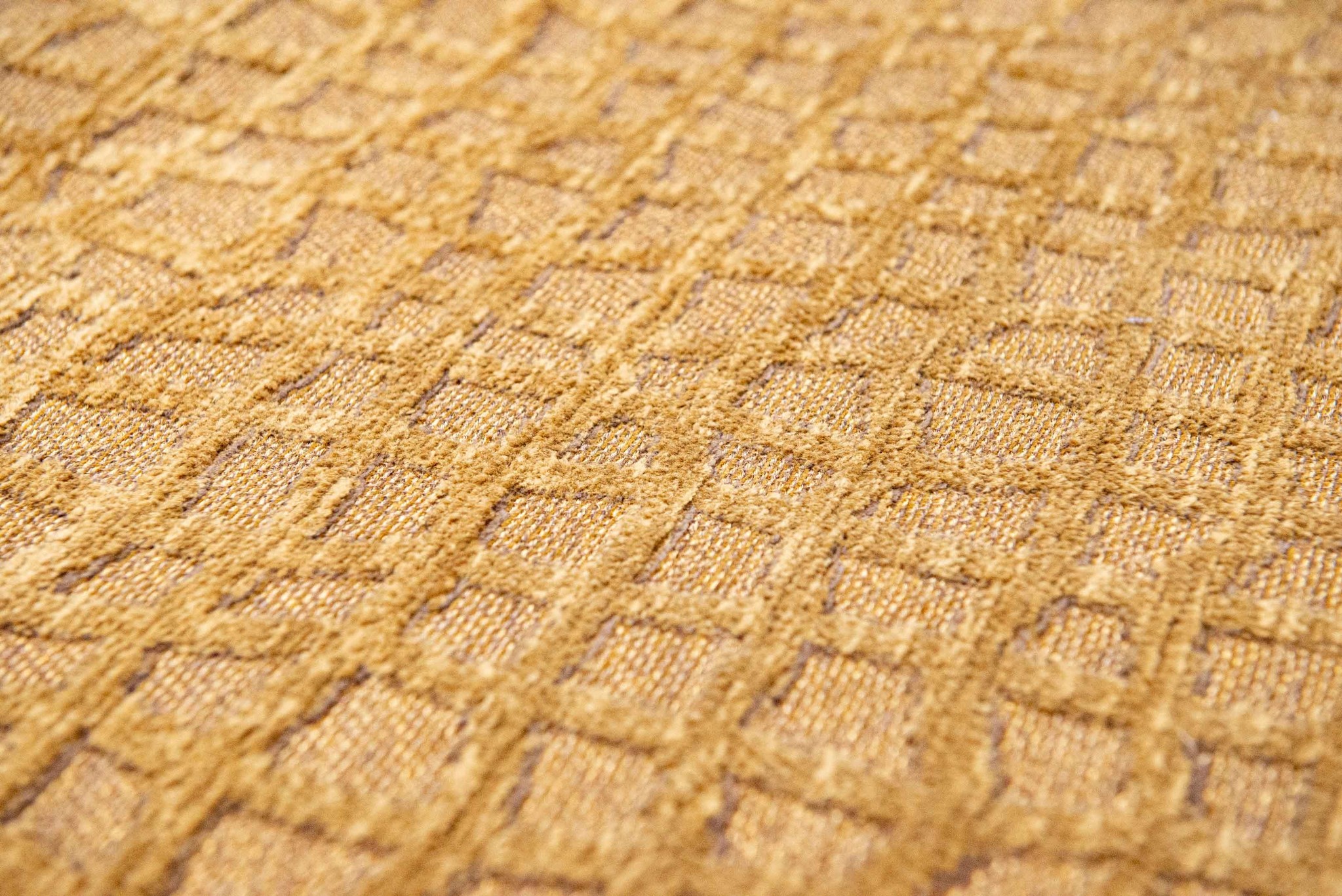 Tapis Roman Gold 9248 | Taille: 170 x 240 cm