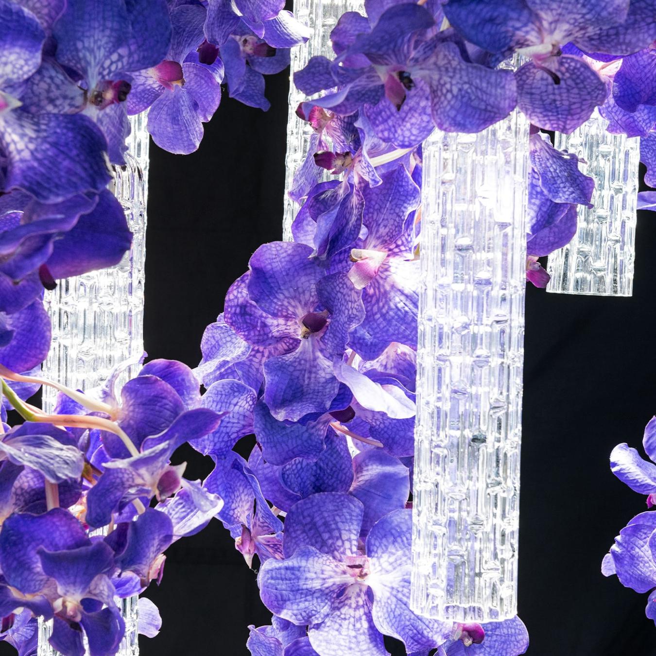 Grand lustre Vanda