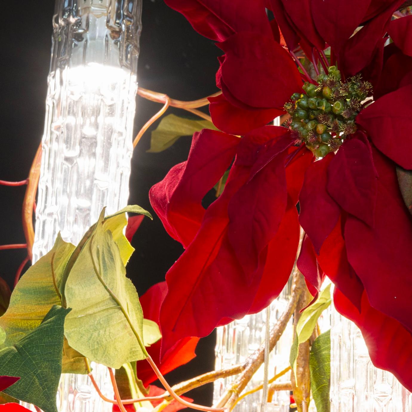 Lustre Poinsettia