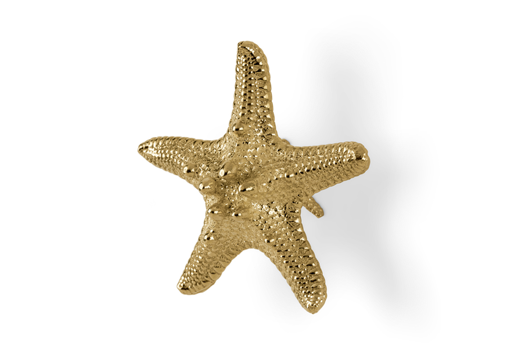 Poignée Starfish Linckia
