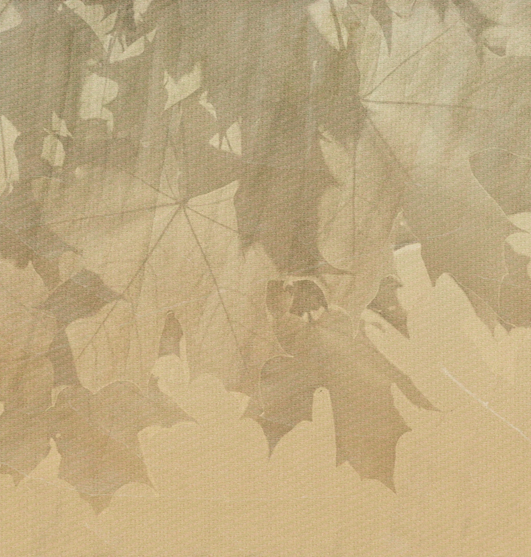 Papier peint feuilles créatives