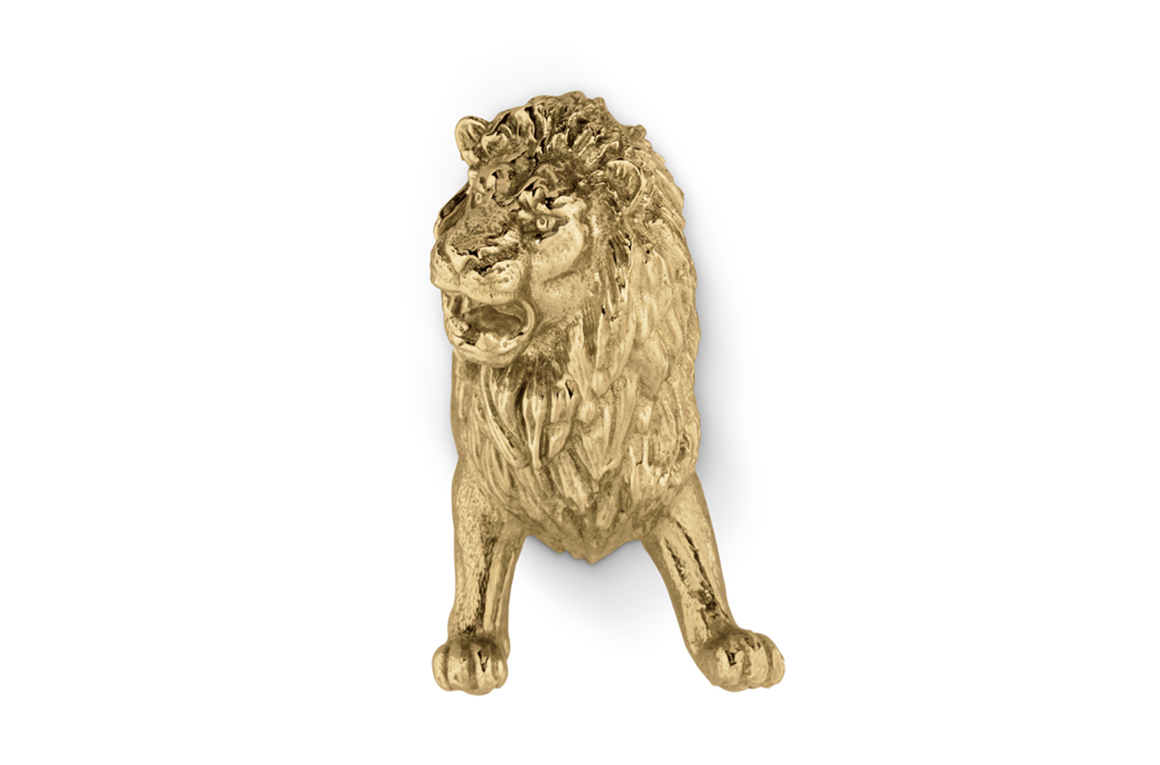 Poignée Fierce Lion