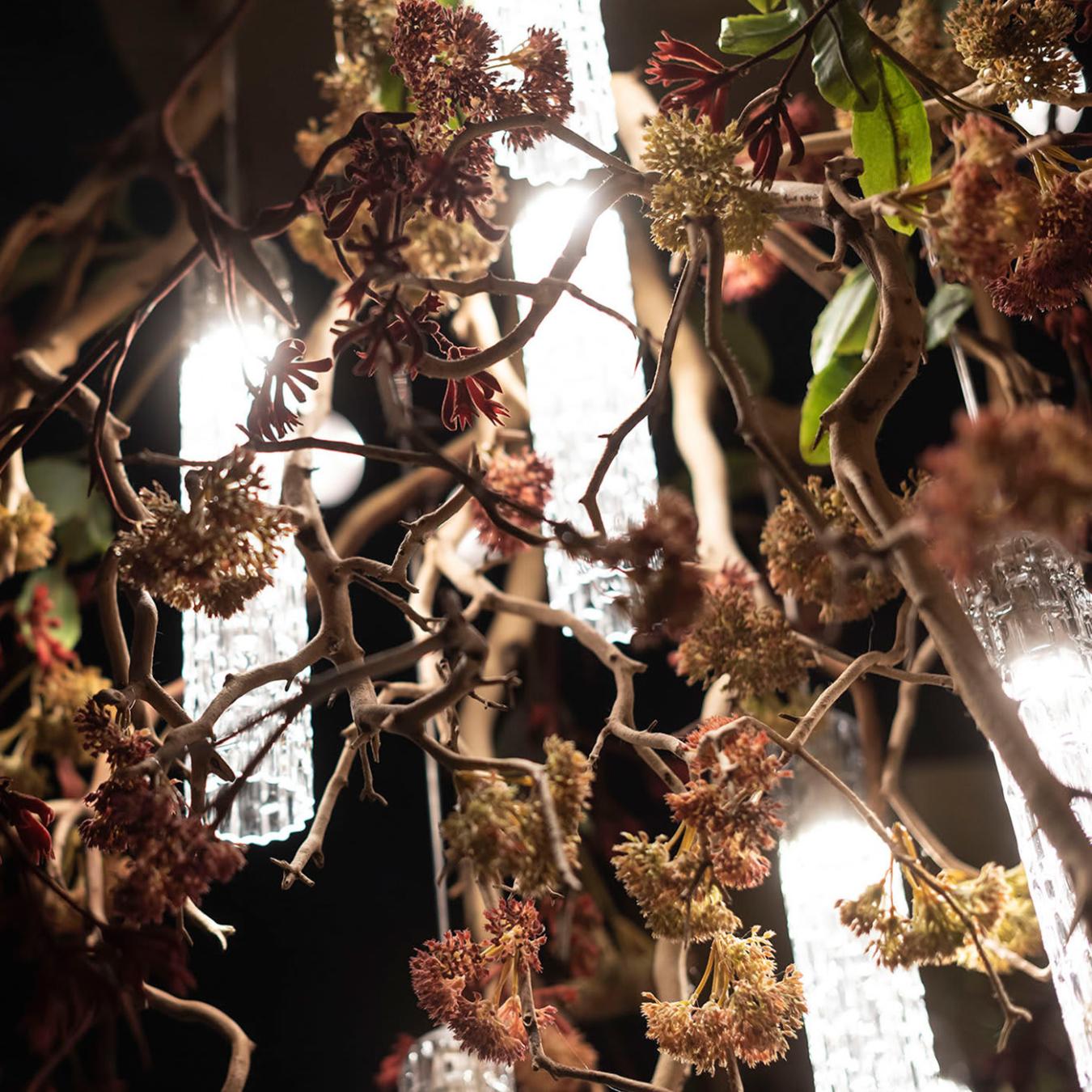Lustre Manzanita