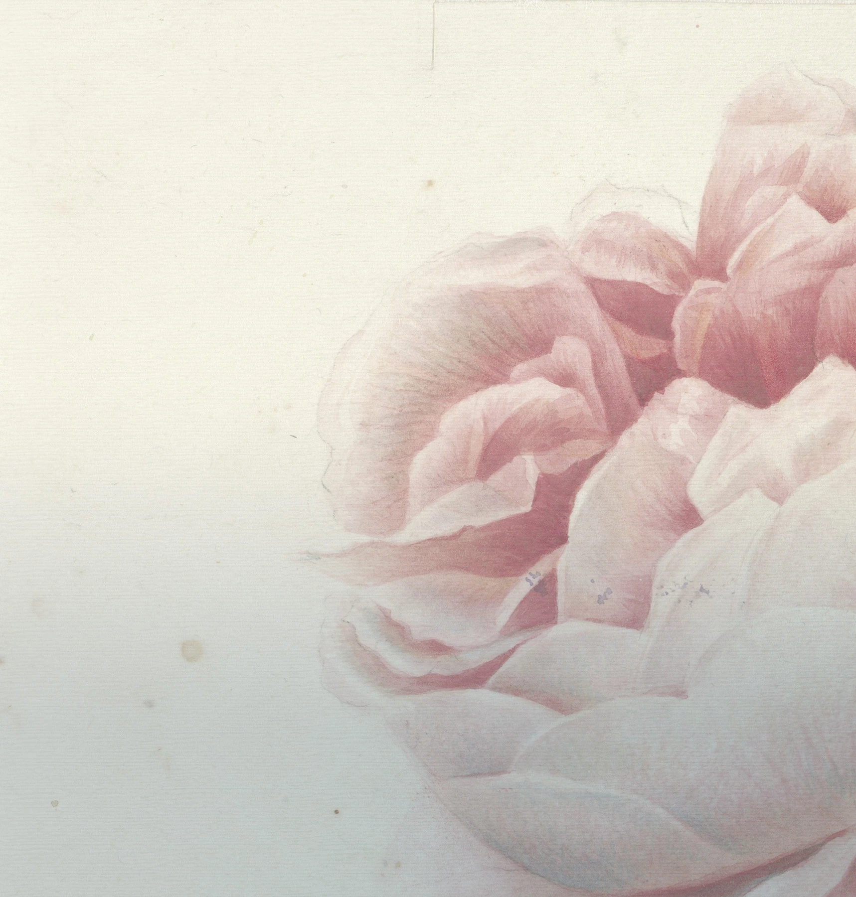 Papier peint fleurs romantiques