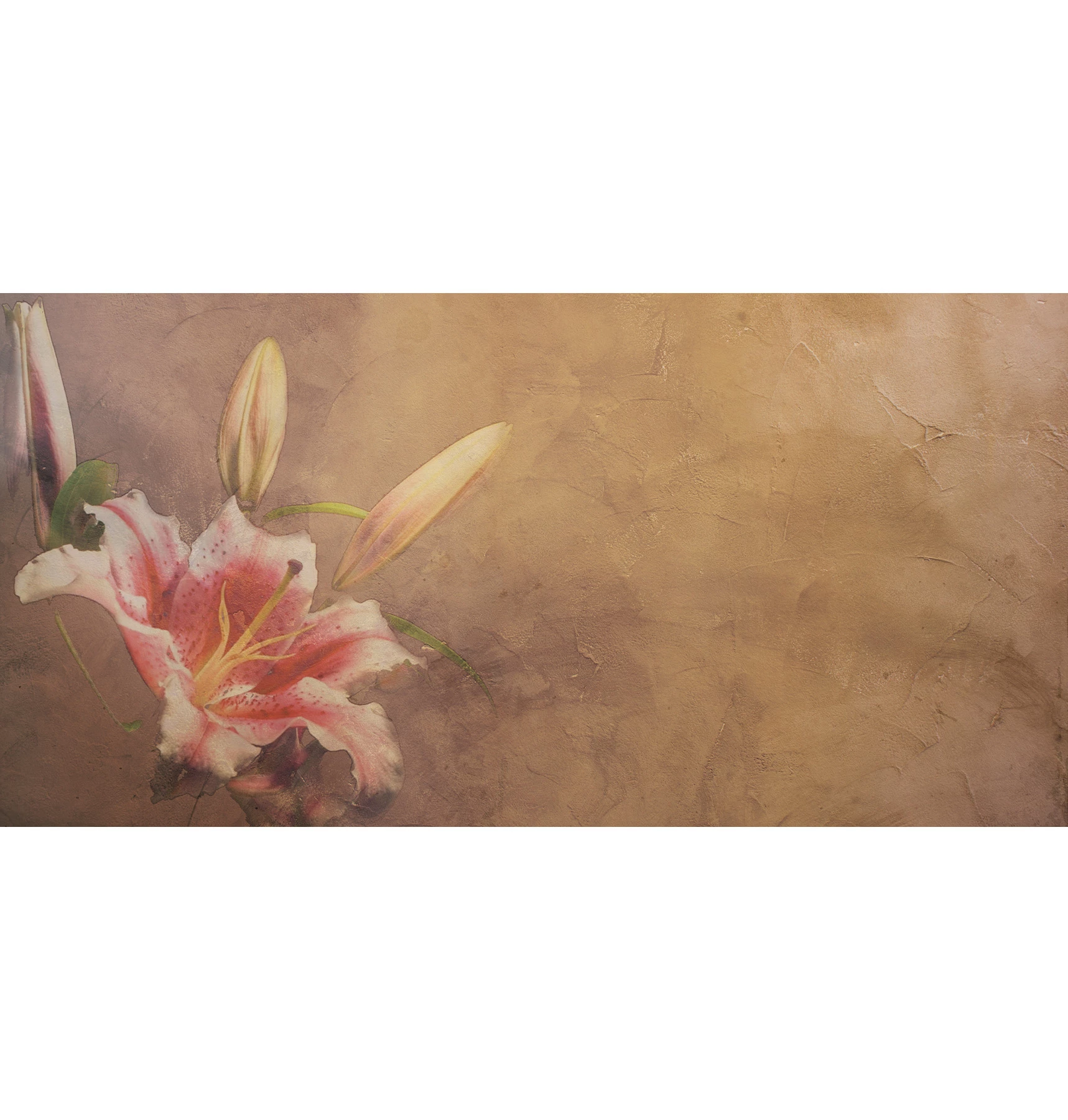 Papier peint Amaryllis