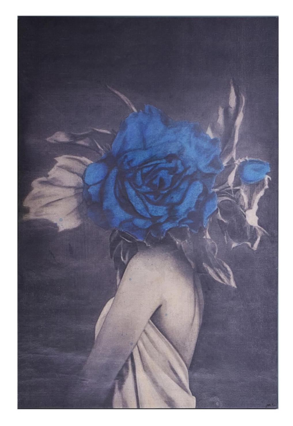 Peinture Murale Rose Bleue