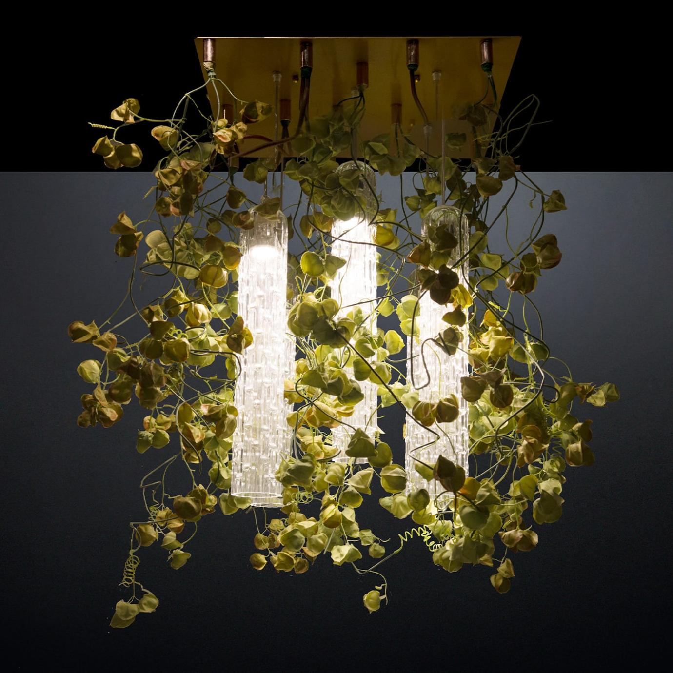 Lustre Physalis