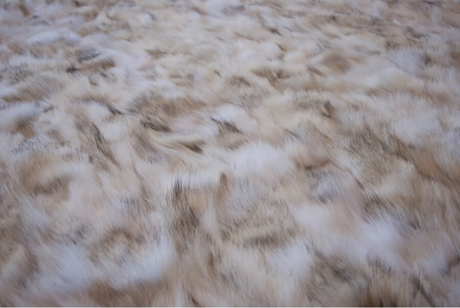 Tapis Loup 840 | Taille: 270 x 360 cm