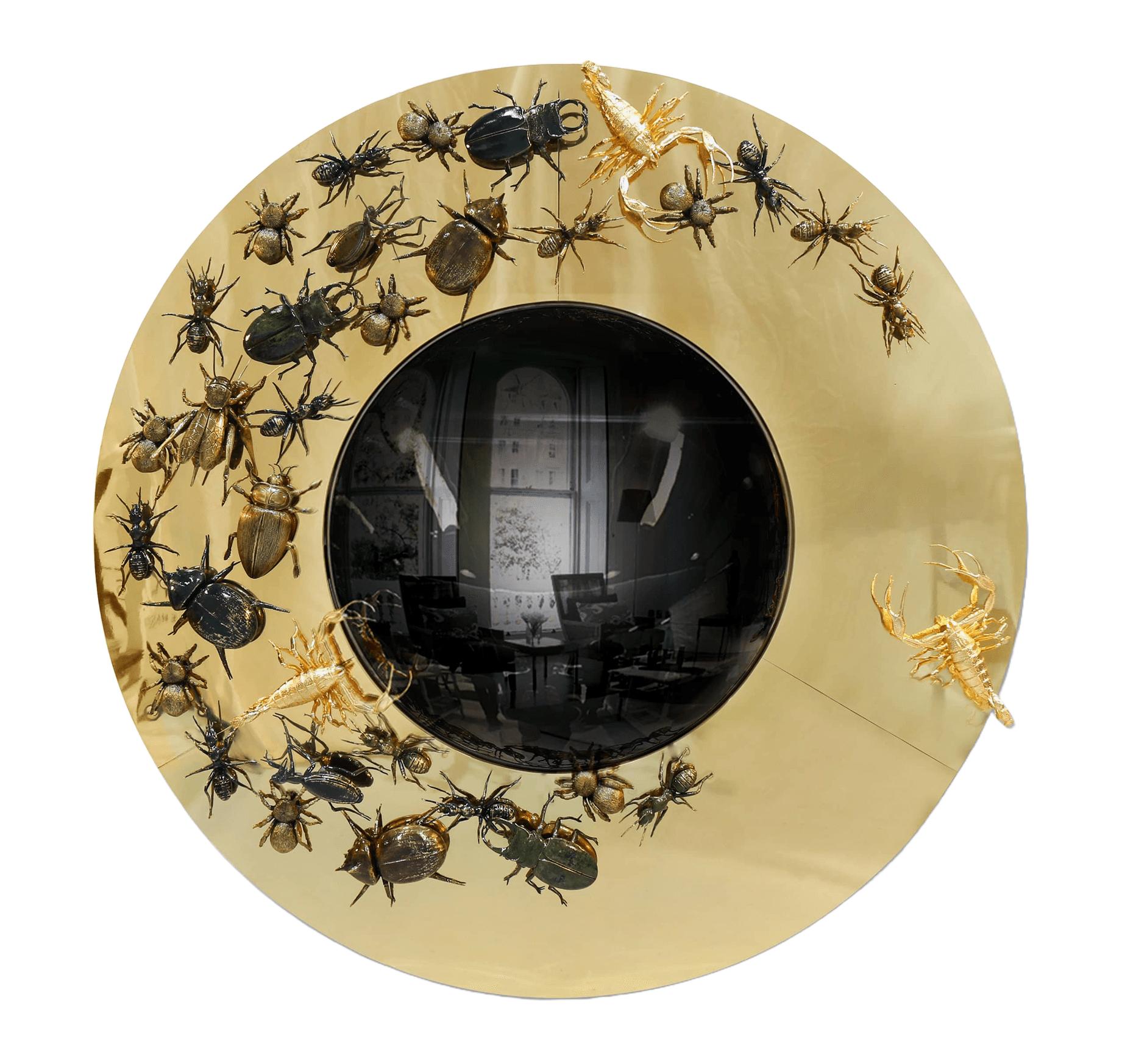 Miroir Évolution Convexe