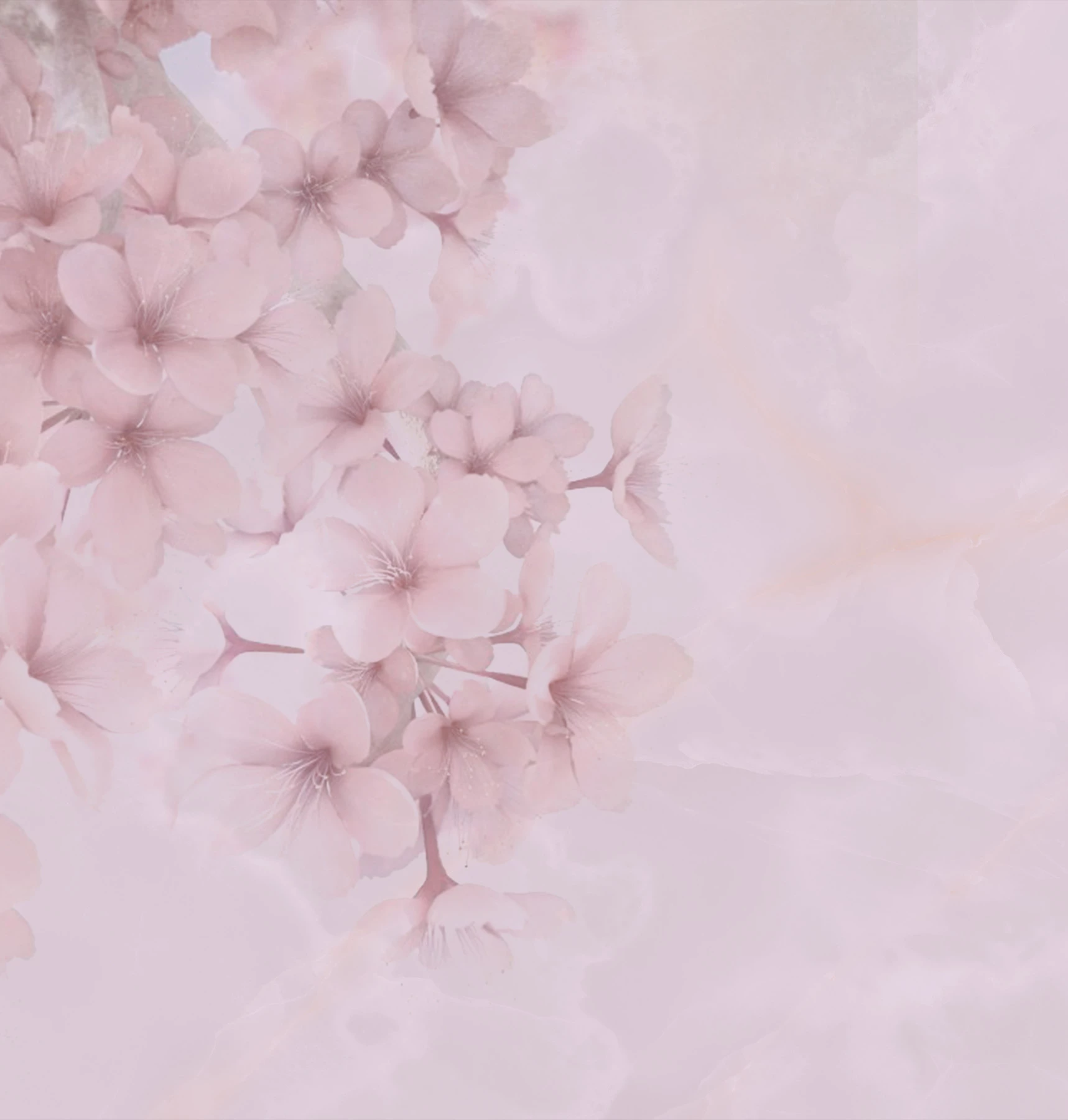 Papier peint Bloom