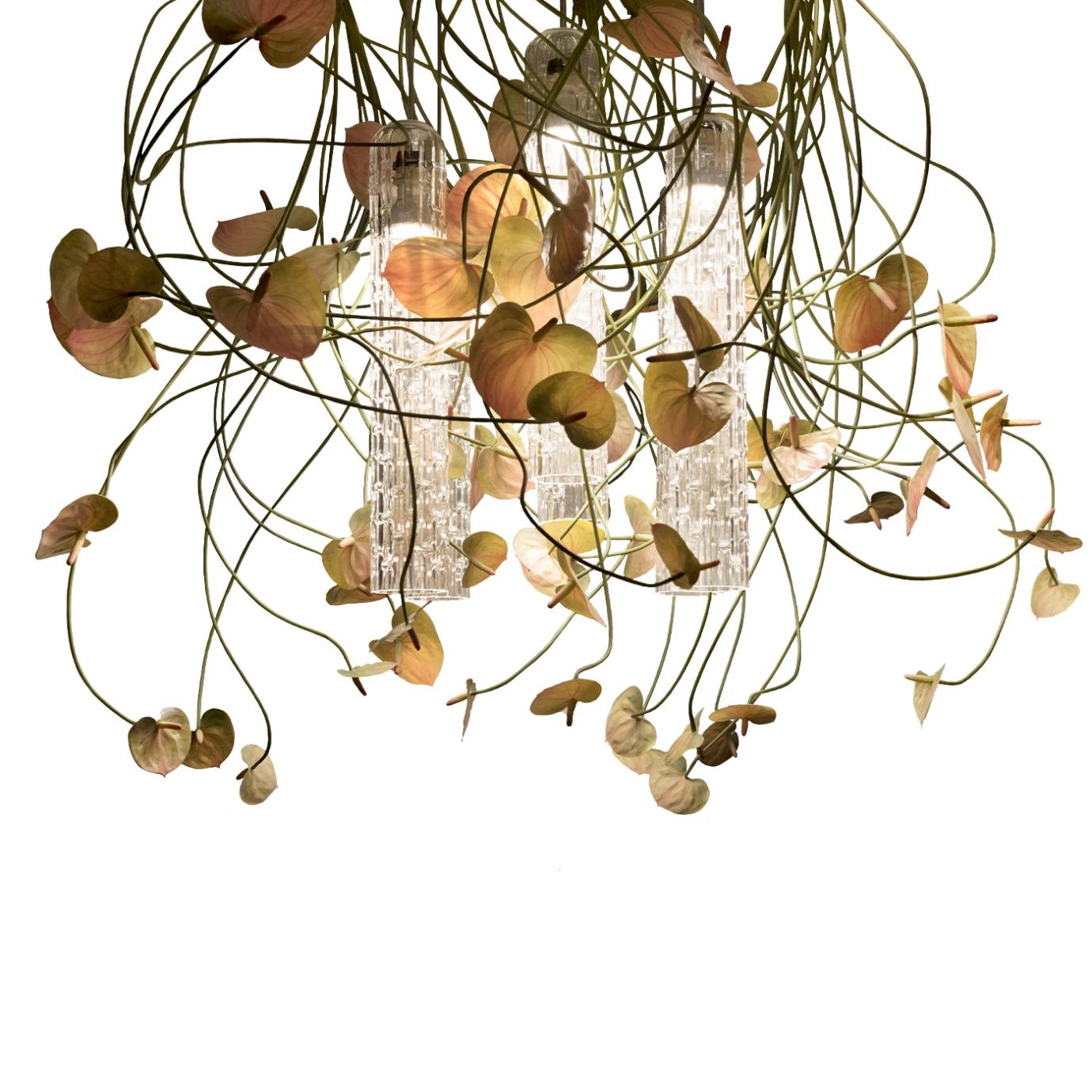 Lustre Anthurium