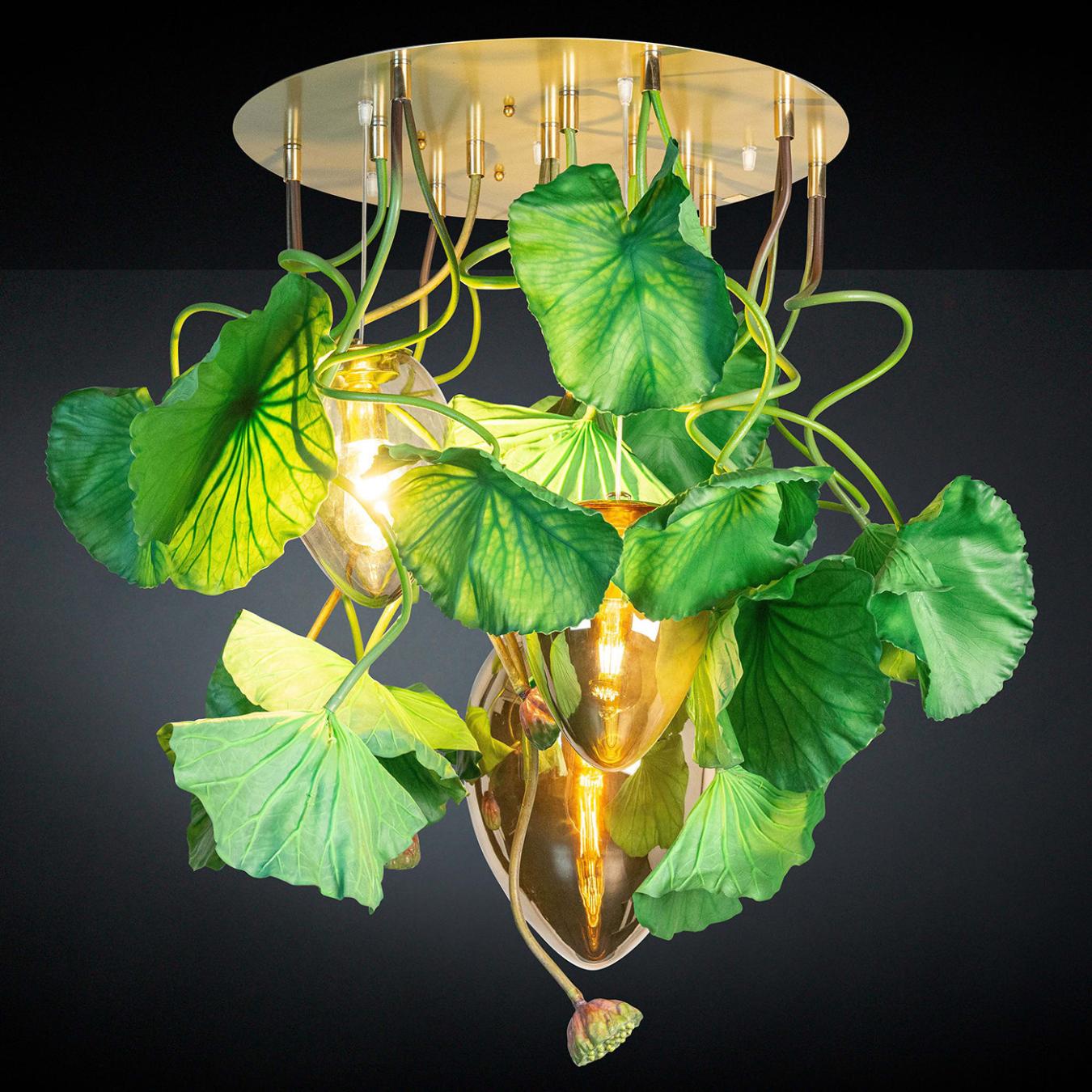 Lustre rond Dichondra