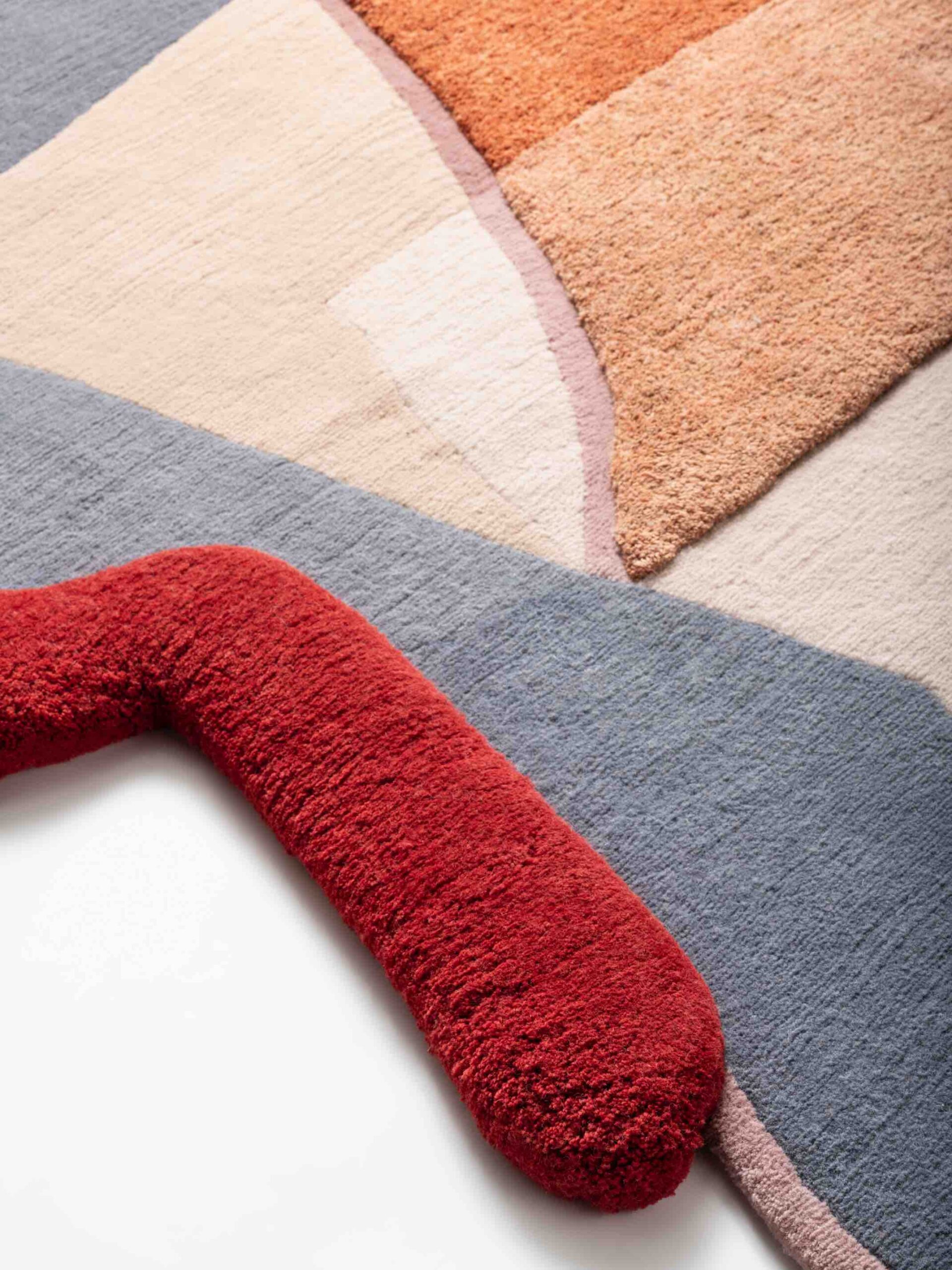 Tapis Antopico Entropico 1
