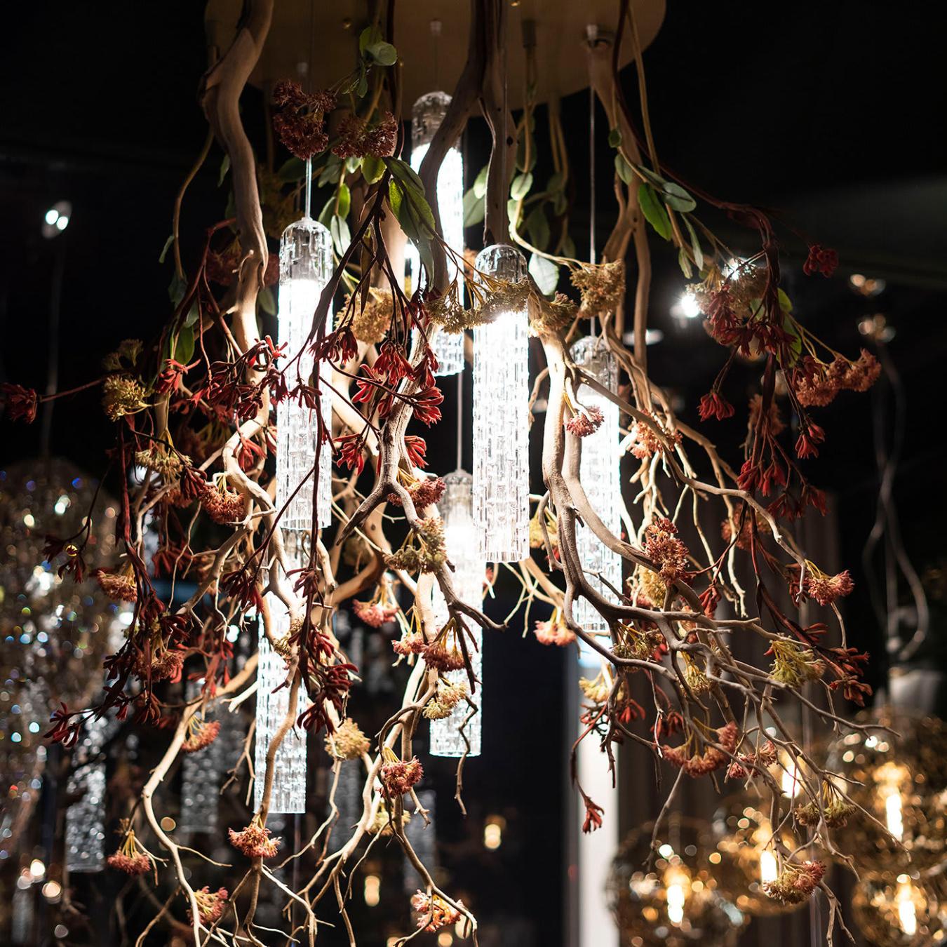 Lustre Manzanita