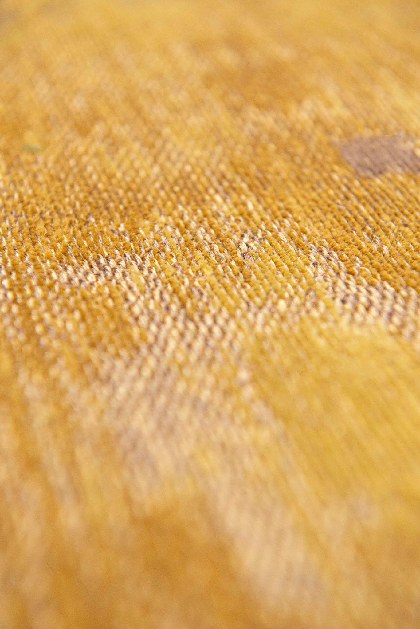 Tapis Rialto Gold 9235
