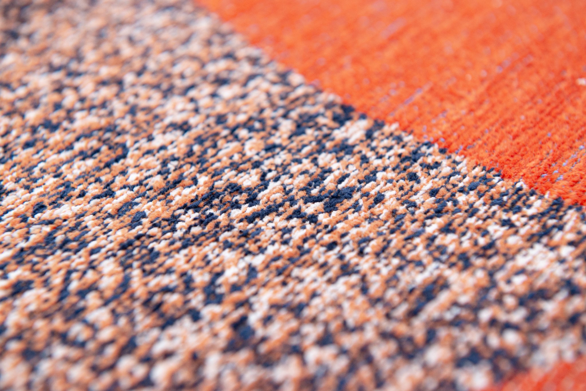 Tapis Carpe Diem 9368