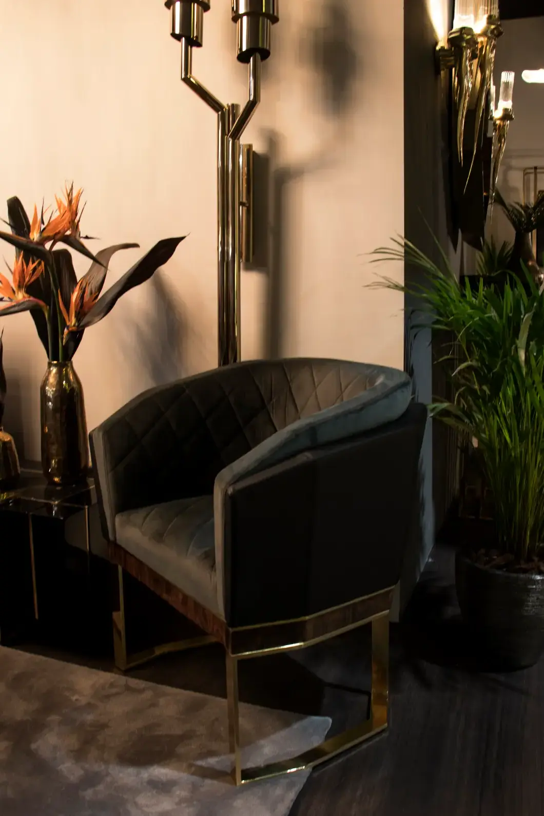 Fauteuil Anguis - 2