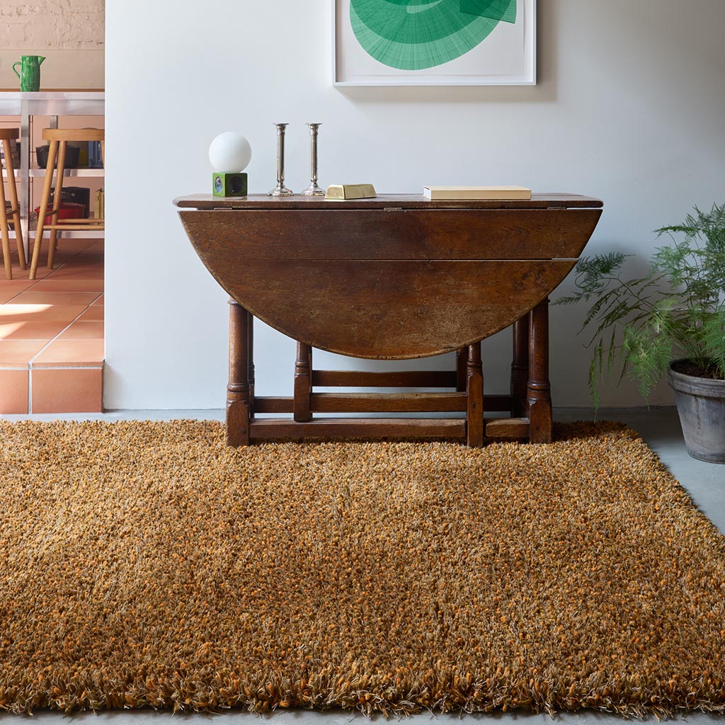 Sprout Burnt Tangerine Tapis | Taille: 170 × 240 cm