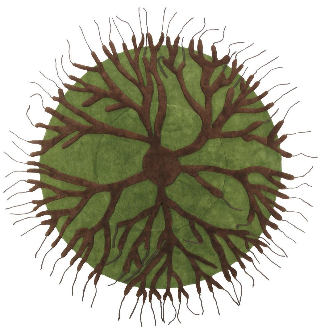 Tapis Roots