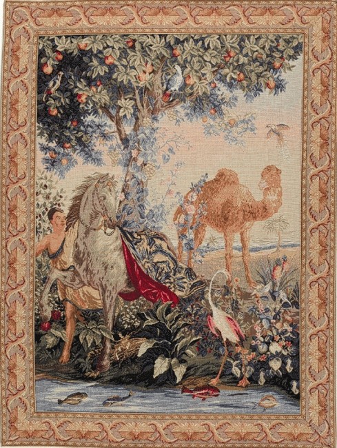 Tapisserie Cheval Drapé