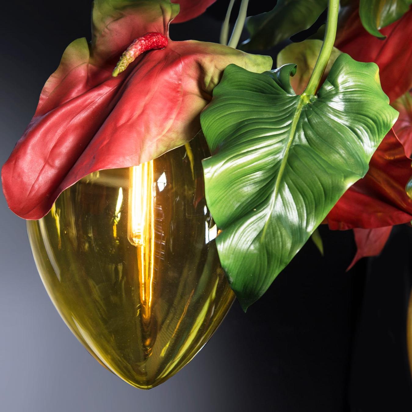 Lustre sombre Anthurium