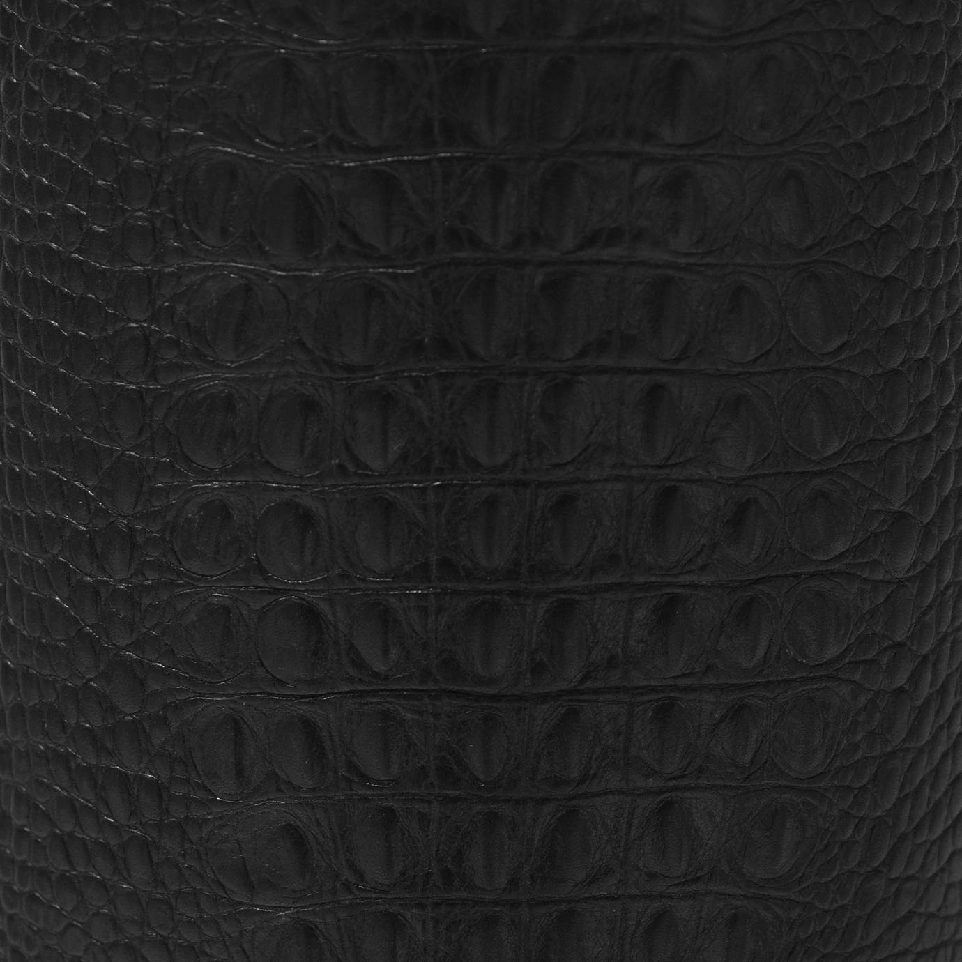 Lampe de table Reptilia