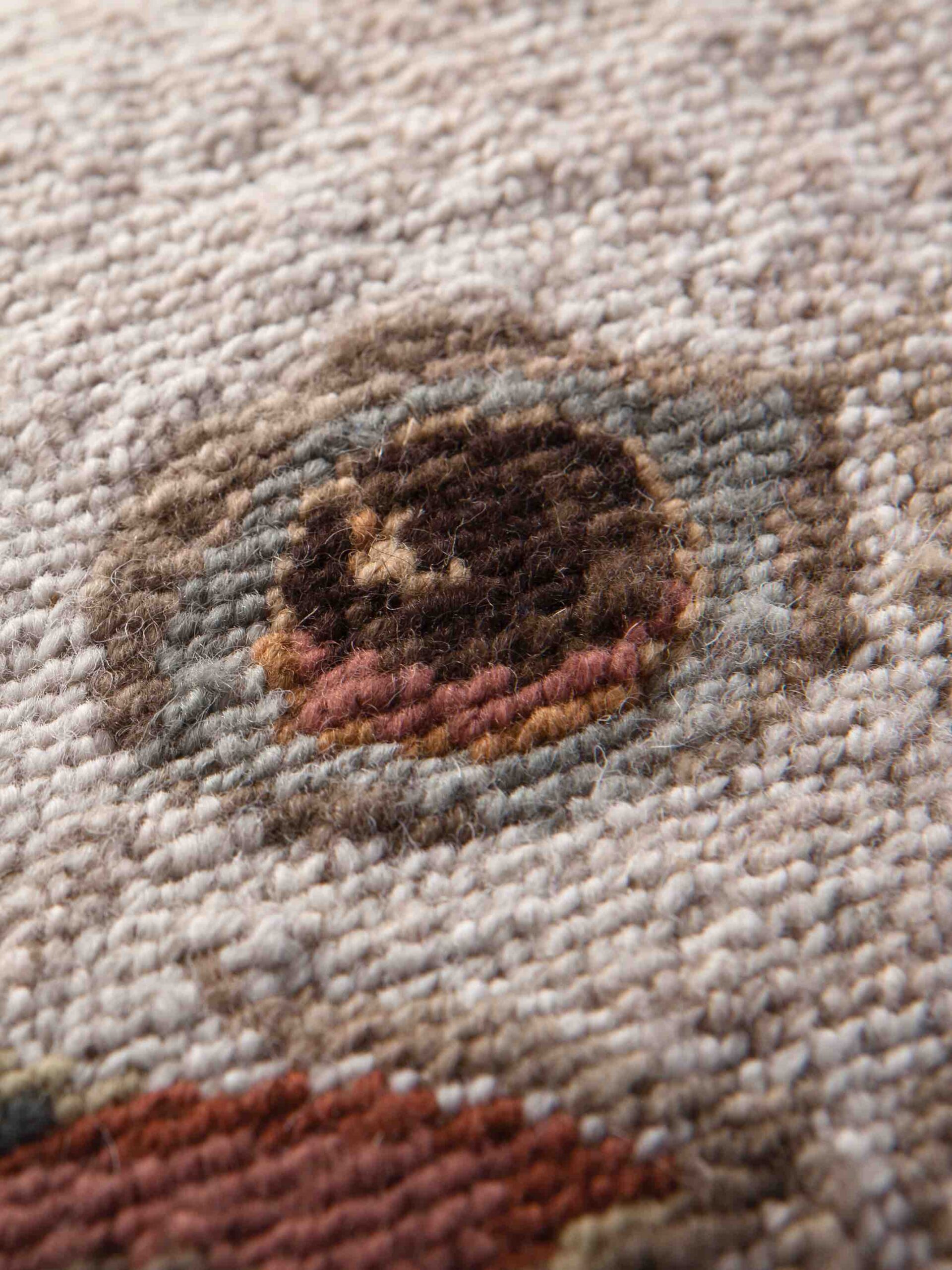 Tapis Migration - Aquila