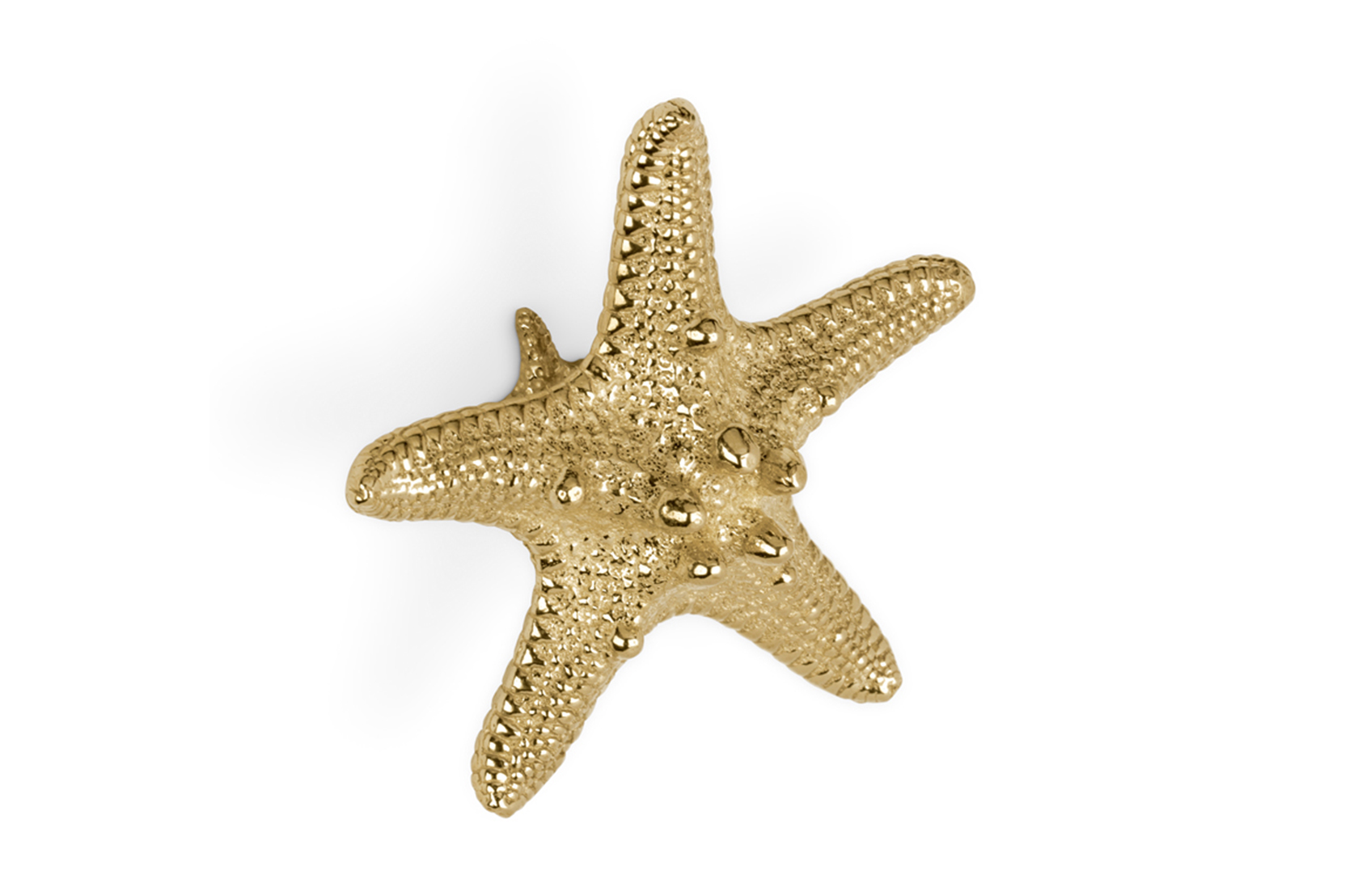 Poignée Starfish Linckia
