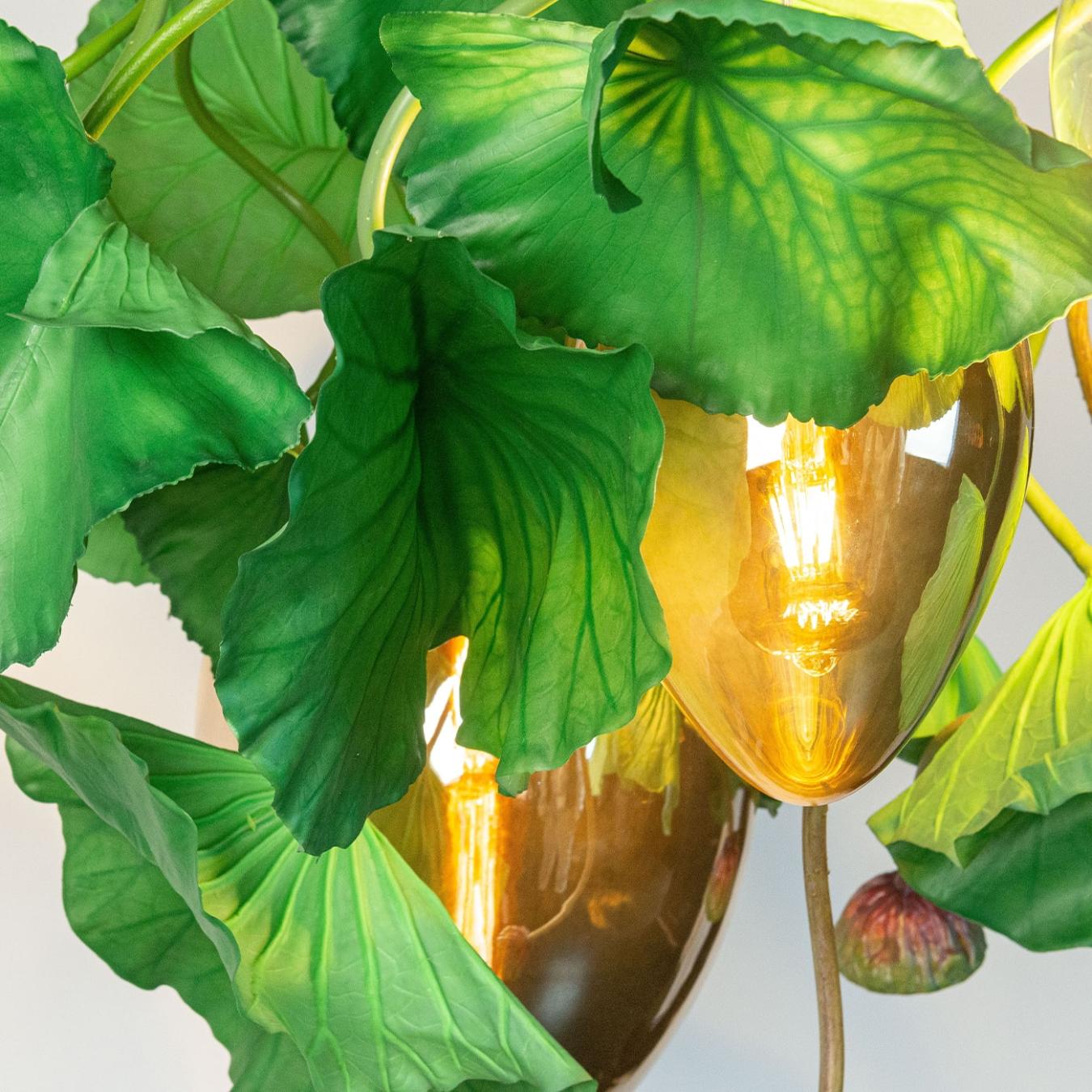 Lustre rond Dichondra