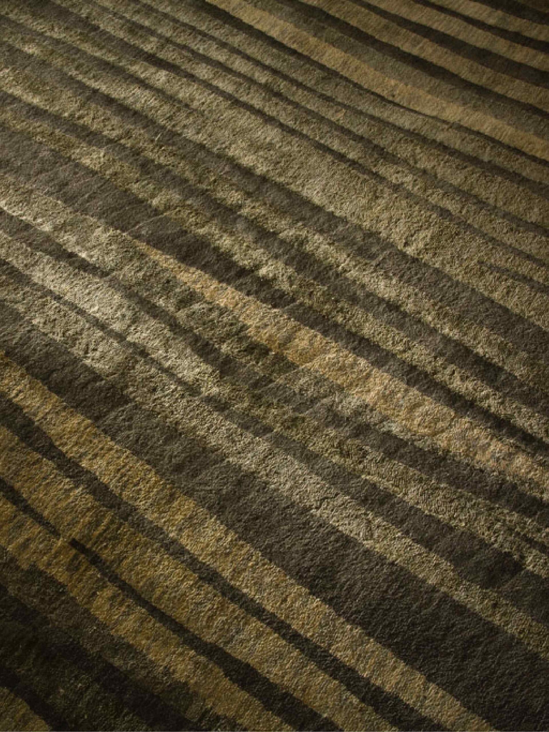 Tapis Zen Terre