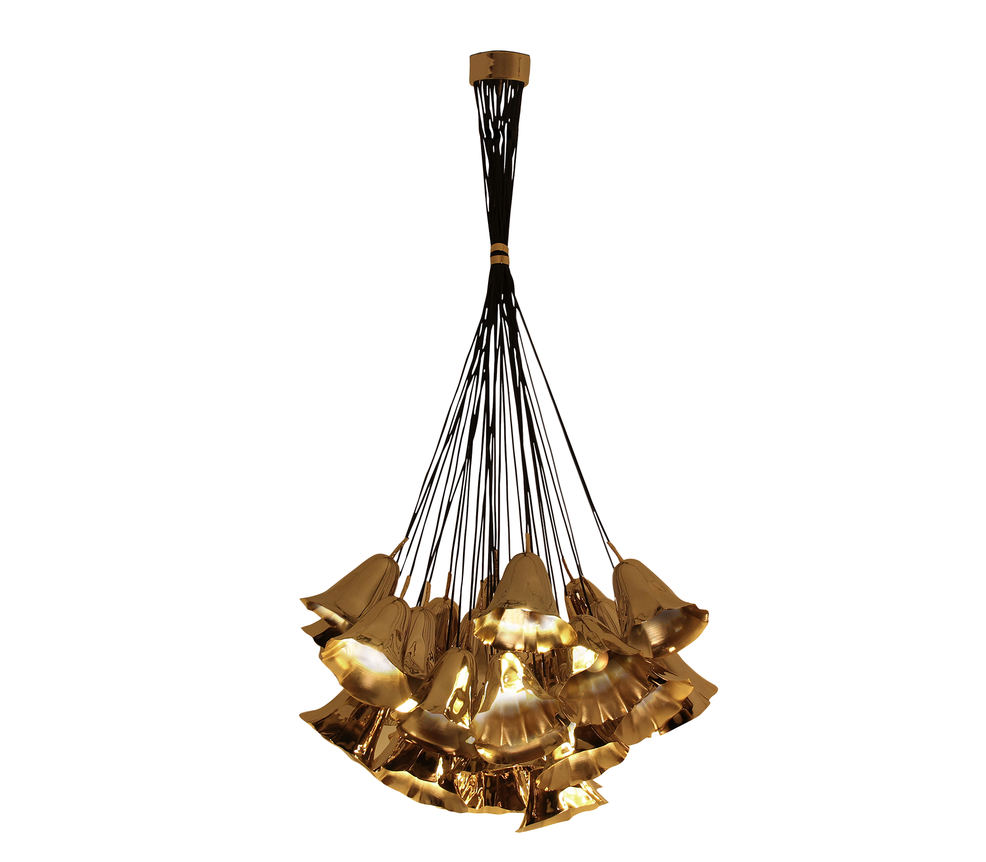 Lustre Orion