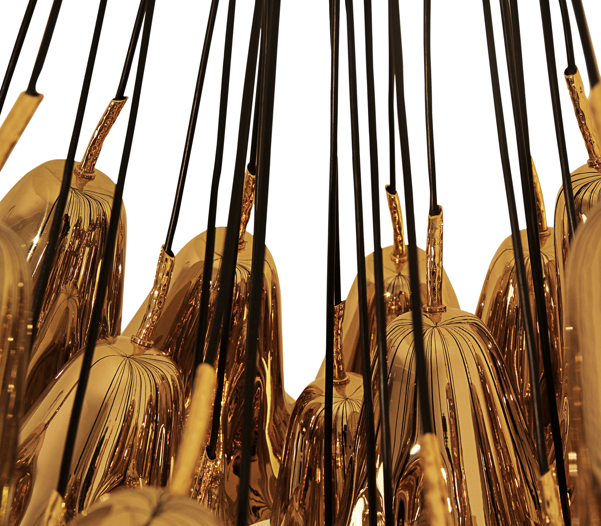 Lustre Orion