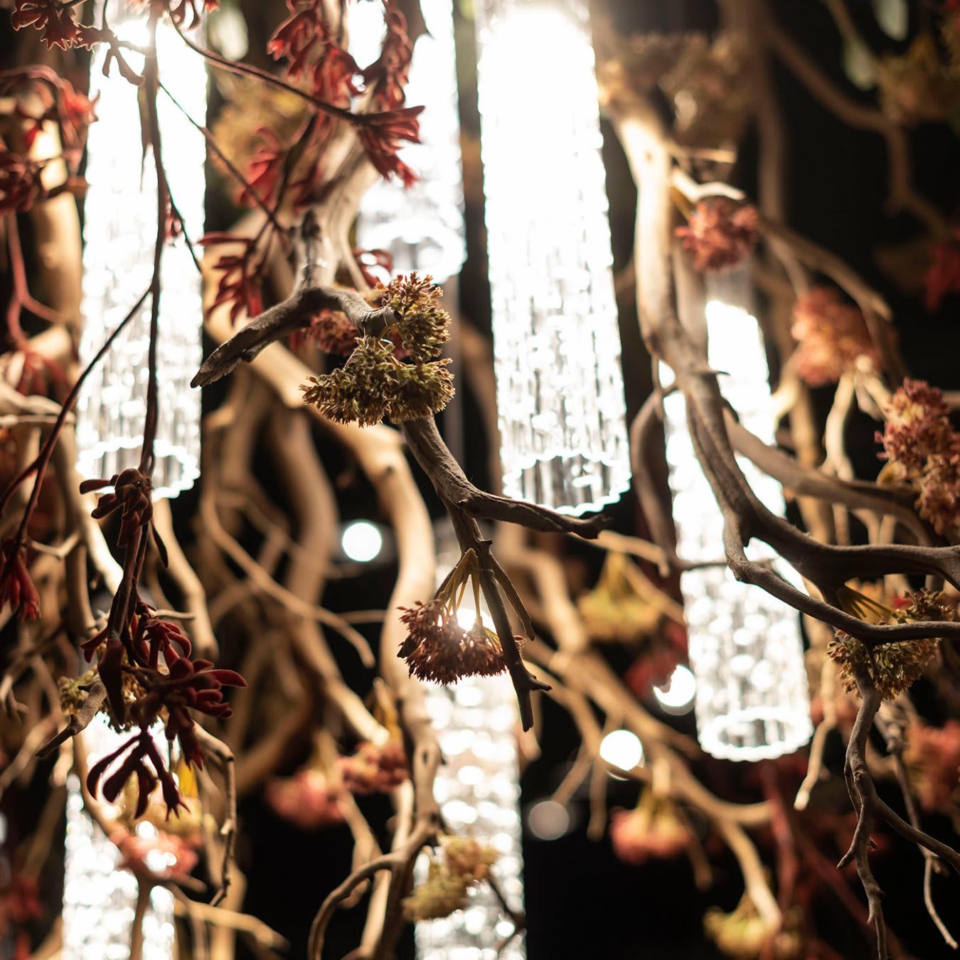 Lustre Manzanita