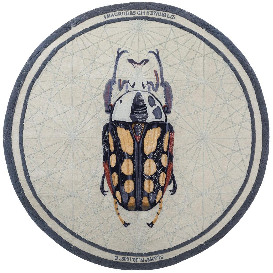 Tapis Amaurodes