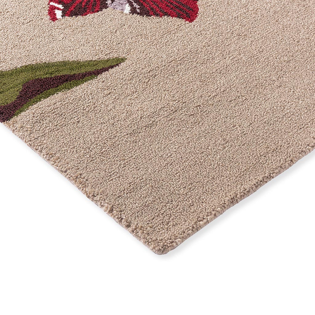 Tapis d’extérieur Botanical Tulip Beige / Rouge | Taille: 250 x 350 cm