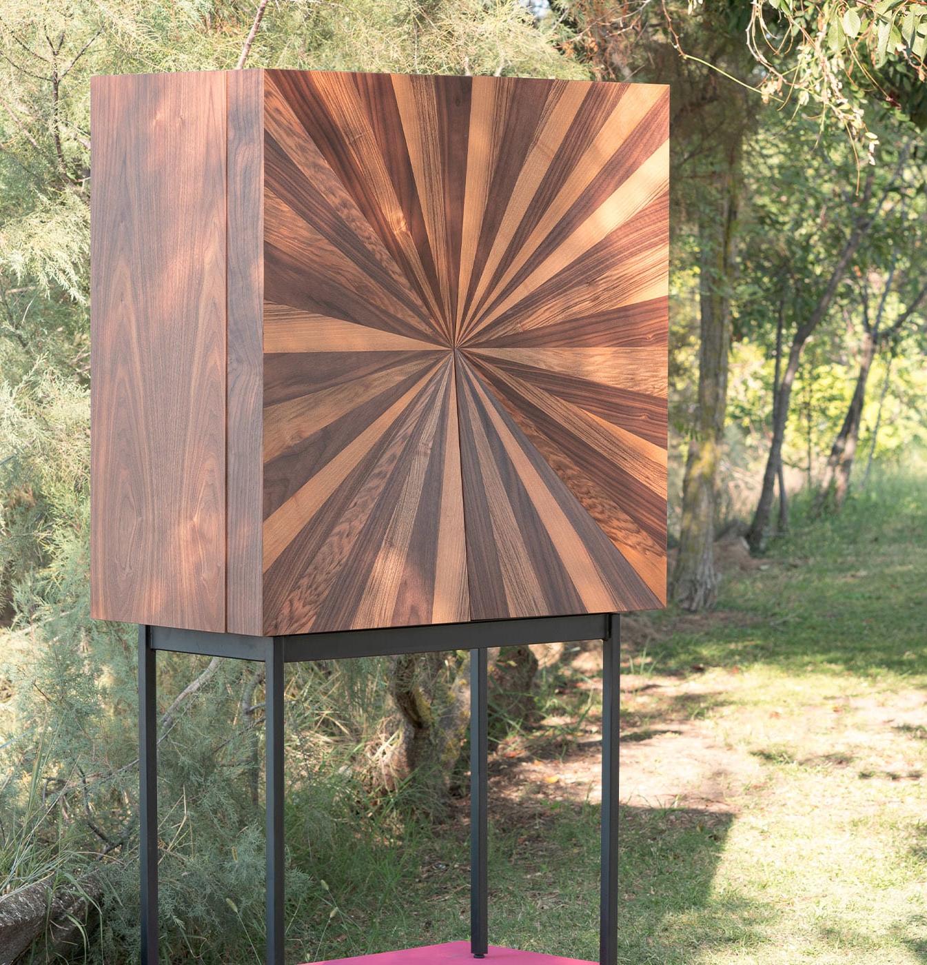 Meuble en Bois Plaqué