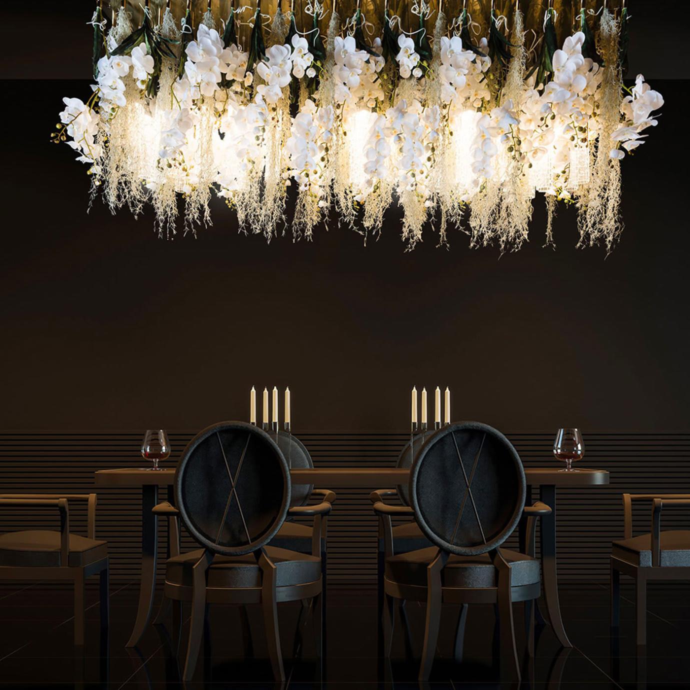 Lustre Phalaenopsis