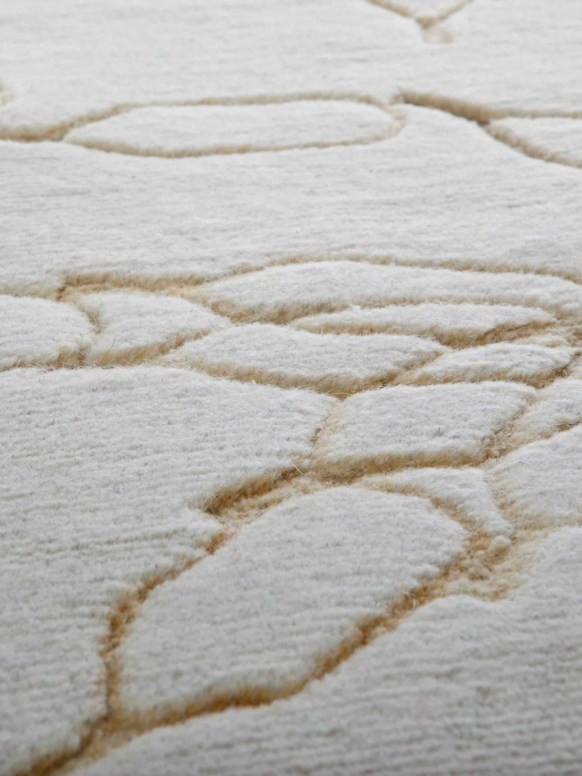 Tapis New Brand