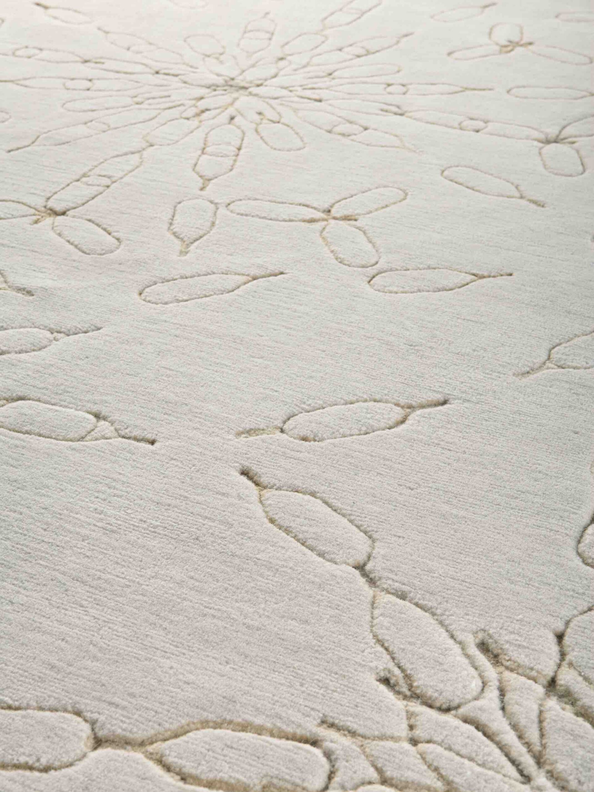 Tapis New Brand