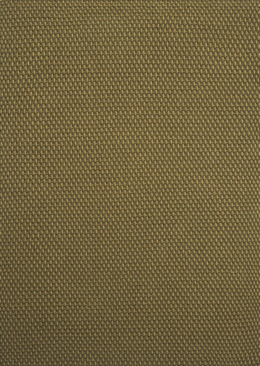 Tapis d’extérieur Lace Thym / Pin | Taille: 250 x 350 cm