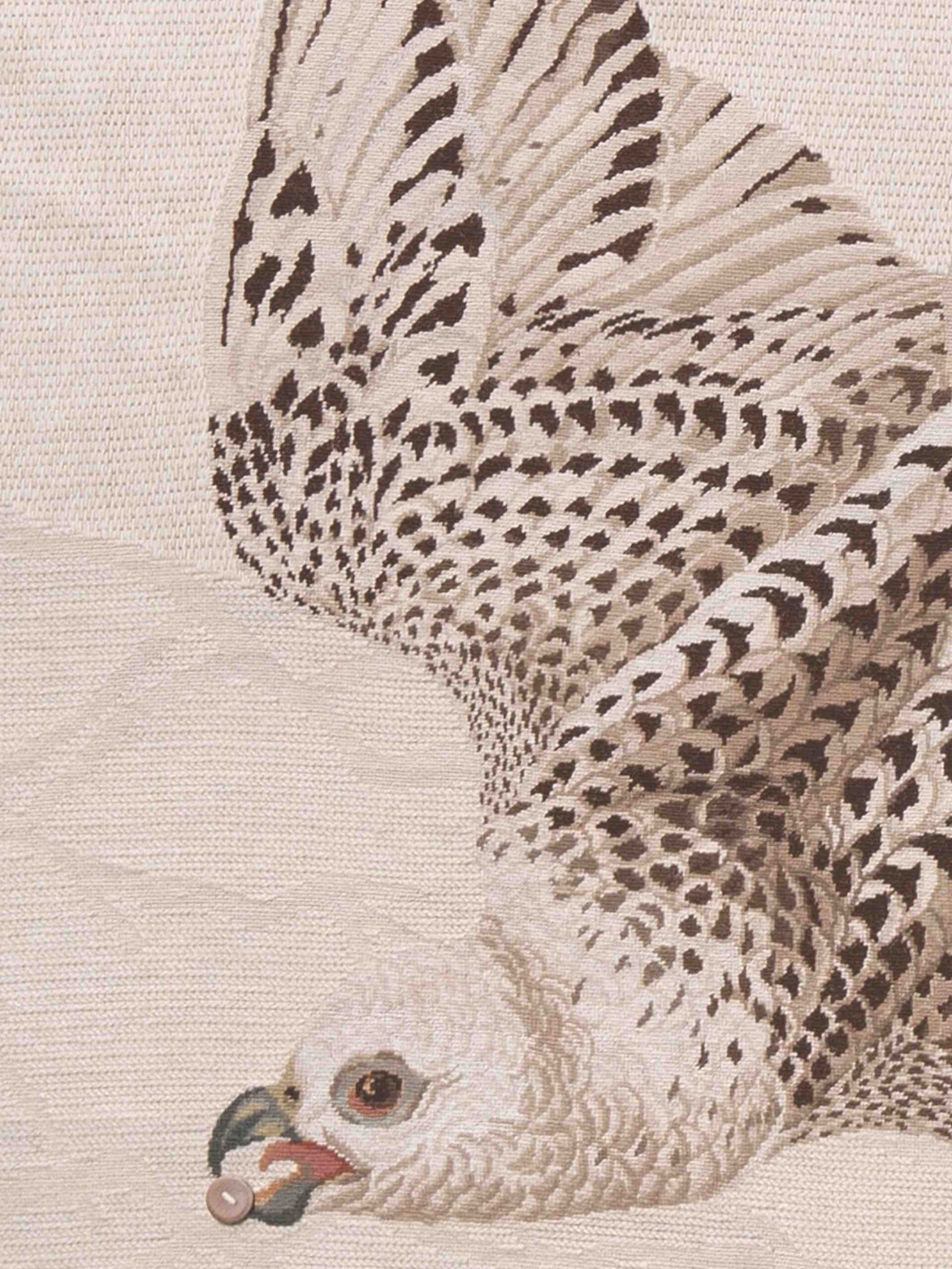 Tapis Migration - Aquila