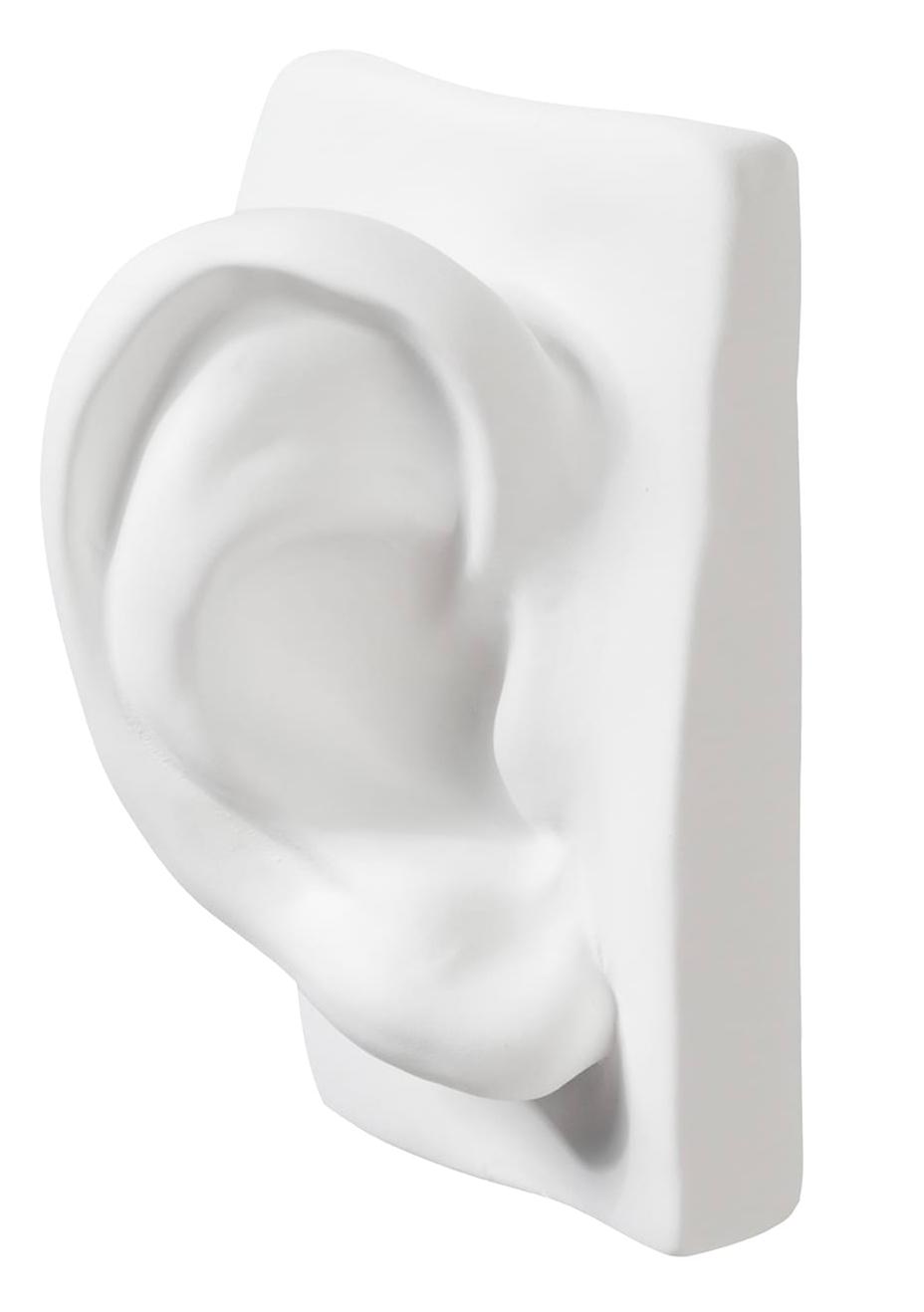Sculpture oreille de David