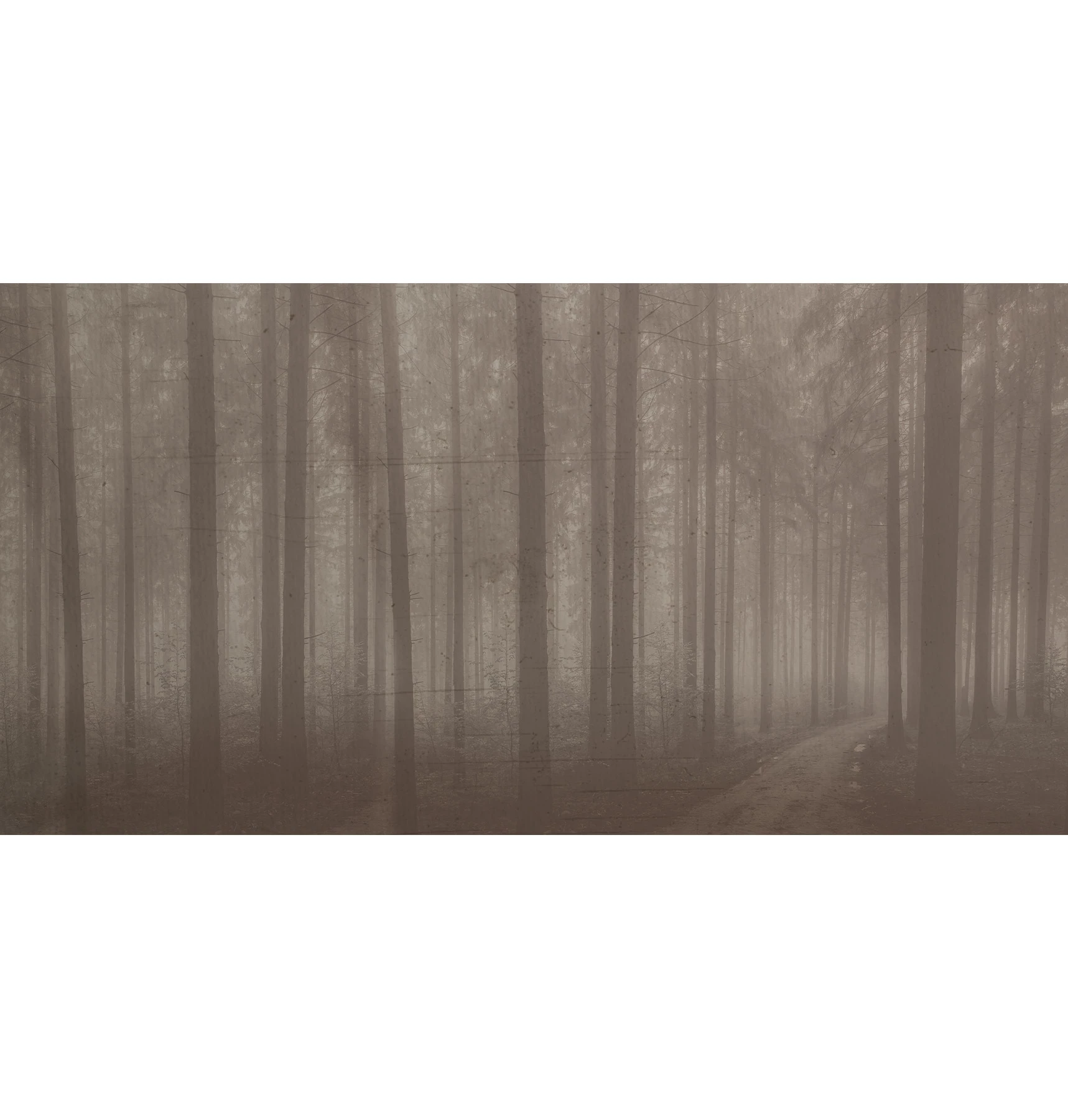 Papier peint forêt nocturne