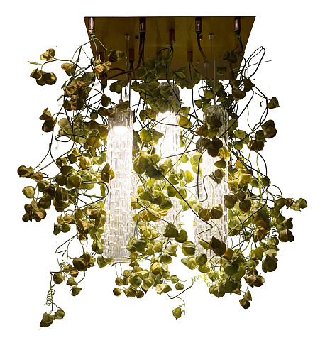 Lustre Physalis