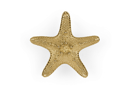 Poignée Starfish Linckia